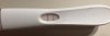 094186AD-5F21-4424-9626-D372B0FE765D.jpeg