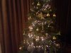 20181206_182229.jpg