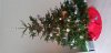 20181209_102142.jpg