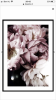 BDAEA143-CD29-4159-9B12-2EFE1393B20B.png