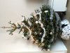 D2010120-5CF9-47D5-8E87-EDD76A2C647A.jpeg
