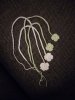 IMG-20181203-WA0010.jpg