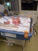 IMG-20181218-WA0003.jpg