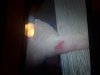 20181219_060331.jpg