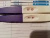 IMG_20181219_155448.jpg