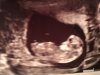 D26F9906-0017-40F4-9225-9DEDE962924C.jpeg