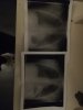 IMG_20181220_204537.jpg