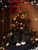 FB_IMG_1544307221456.jpg