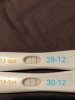 IMG_20181230_075726__01__01.jpg