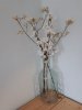 IMG-20181231-WA0004.jpg