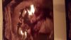 IMG-20190102-WA0001.jpeg