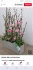 Screenshot_20190103-161658_Pinterest.jpg