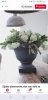 Screenshot_20190103-161709_Pinterest.jpg