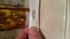 IMG-20190104-WA0023.jpeg