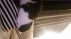 IMG-20190105-WA0012.jpeg