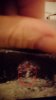 _20190113_195126.JPG