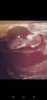 Screenshot_20190113-205104.jpg