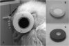 1-s2.0-S0042698915000437-gr2.jpg
