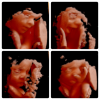 F0D92FC5-D569-47F3-B82C-EB1342C69EE2.png