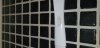 20190123_073751.jpg
