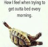 FB_IMG_1454961737429.jpg