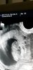 Screenshot_20190123-181226_Gallery.jpg