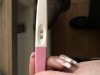 36013905-B511-423C-9DDF-4504EC69FA47.jpeg