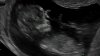 2019-01-28 05.20.58.jpg
