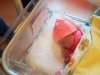 IMG-20190128-WA0003.jpg