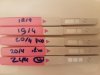 20170421_105719.jpg