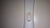 20190130_065122.jpg