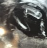 104423D8-EB56-44F3-B113-BDC634FC0D2A.jpeg