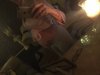 112706B3-E595-4CB3-BEA6-E5B7CE13996A.jpeg