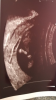 Screenshot_20190204-142559.png