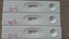 20190205_135425.jpg