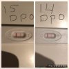 22740886-60C5-4F26-AEDC-9DAD6DCF8463.jpeg