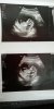 IMG-20190206-WA0001.jpeg