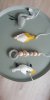 IMG-20190206-WA0013.jpeg