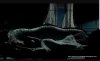 Screenshot_20190206-153327_Chrome.jpg