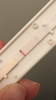 AB541E5F-EA5E-45A4-B92B-46BAAA4667F6.png