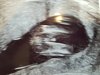 20190211_133458.jpg