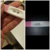 CollageMaker_20190212_070739414.jpg