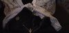20190214_212431.jpg