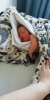 IMG-20190215-WA0000.jpeg