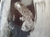 20190218_092254.jpg