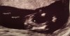 71E25BDA-18E6-41FF-A29C-64C1BAF3C7C0.jpeg
