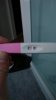 IMG-20190221-WA0017.jpeg