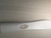 068DD8C9-E2C7-4C1A-A37F-E6CF9E7D7C66.jpeg