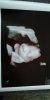 IMG-20190223-WA0000.jpeg