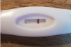 upload_2019-2-25_13-26-32.png